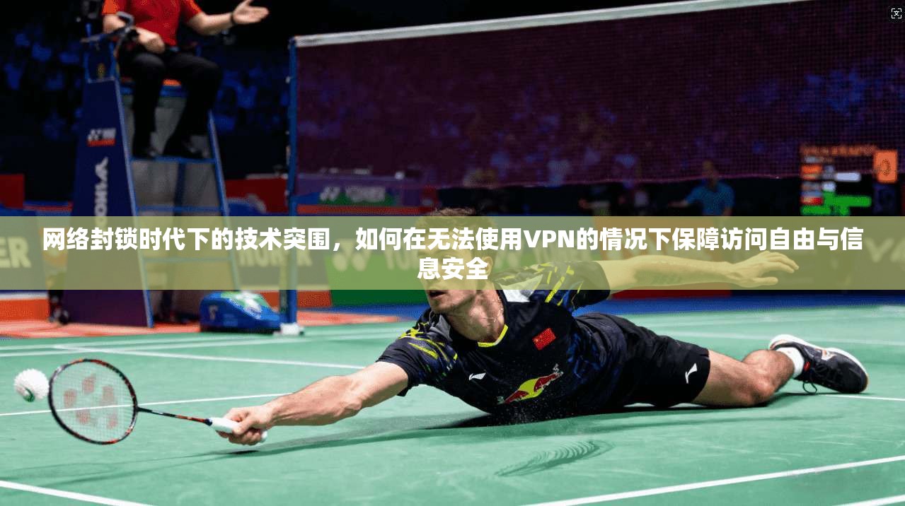 网络封锁时代下的技术突围，如何在无法使用VPN的情况下保障访问自由与信息安全