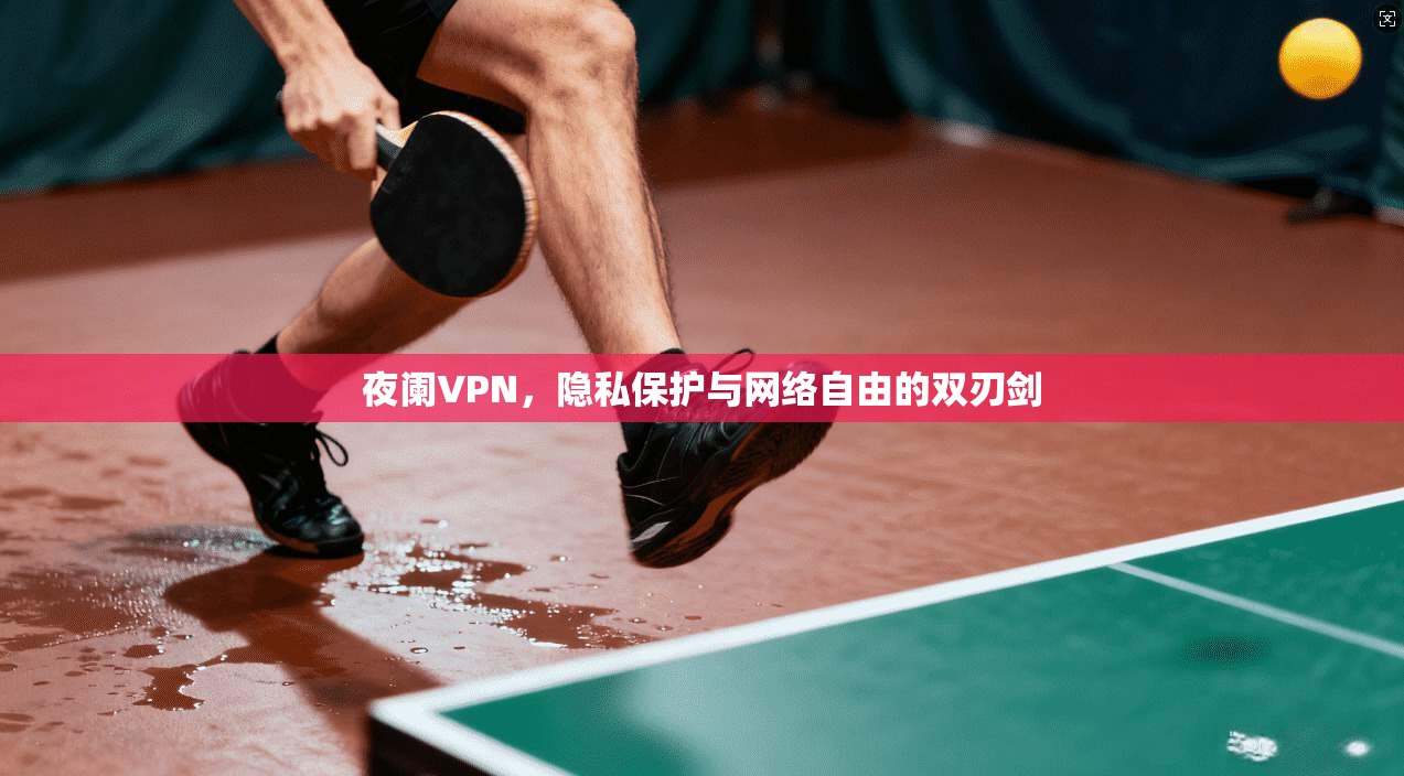 夜阑VPN，隐私保护与网络自由的双刃剑