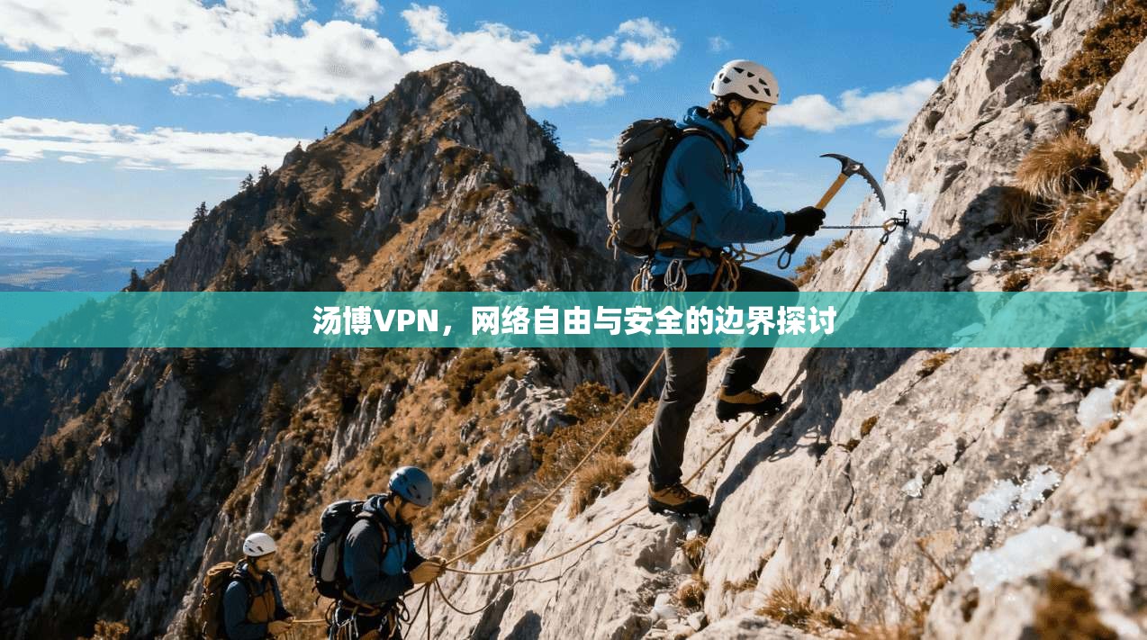 汤博VPN，网络自由与安全的边界探讨