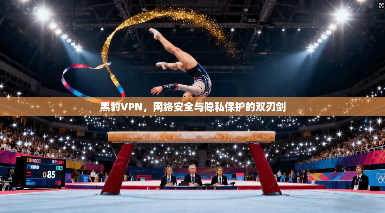 黑豹VPN，网络安全与隐私保护的双刃剑