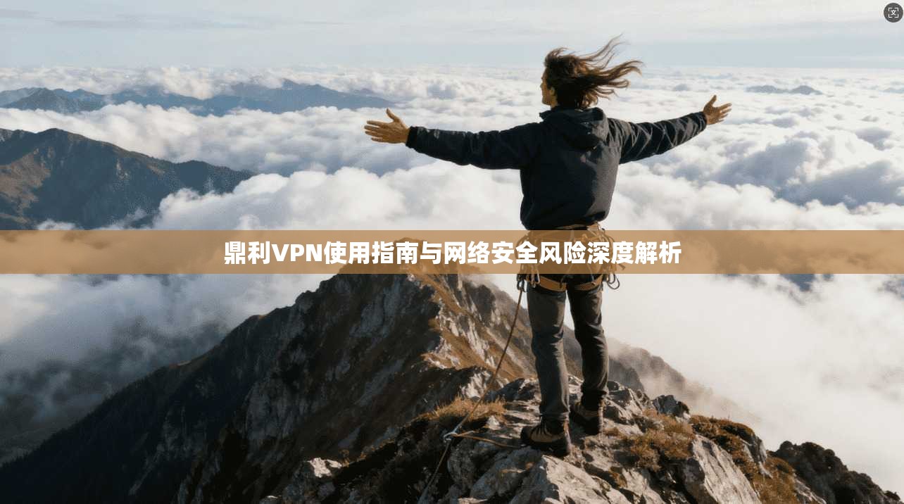 鼎利VPN使用指南与网络安全风险深度解析