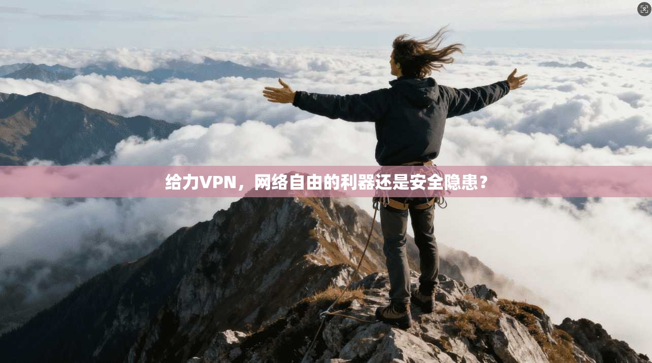 给力VPN，网络自由的利器还是安全隐患？