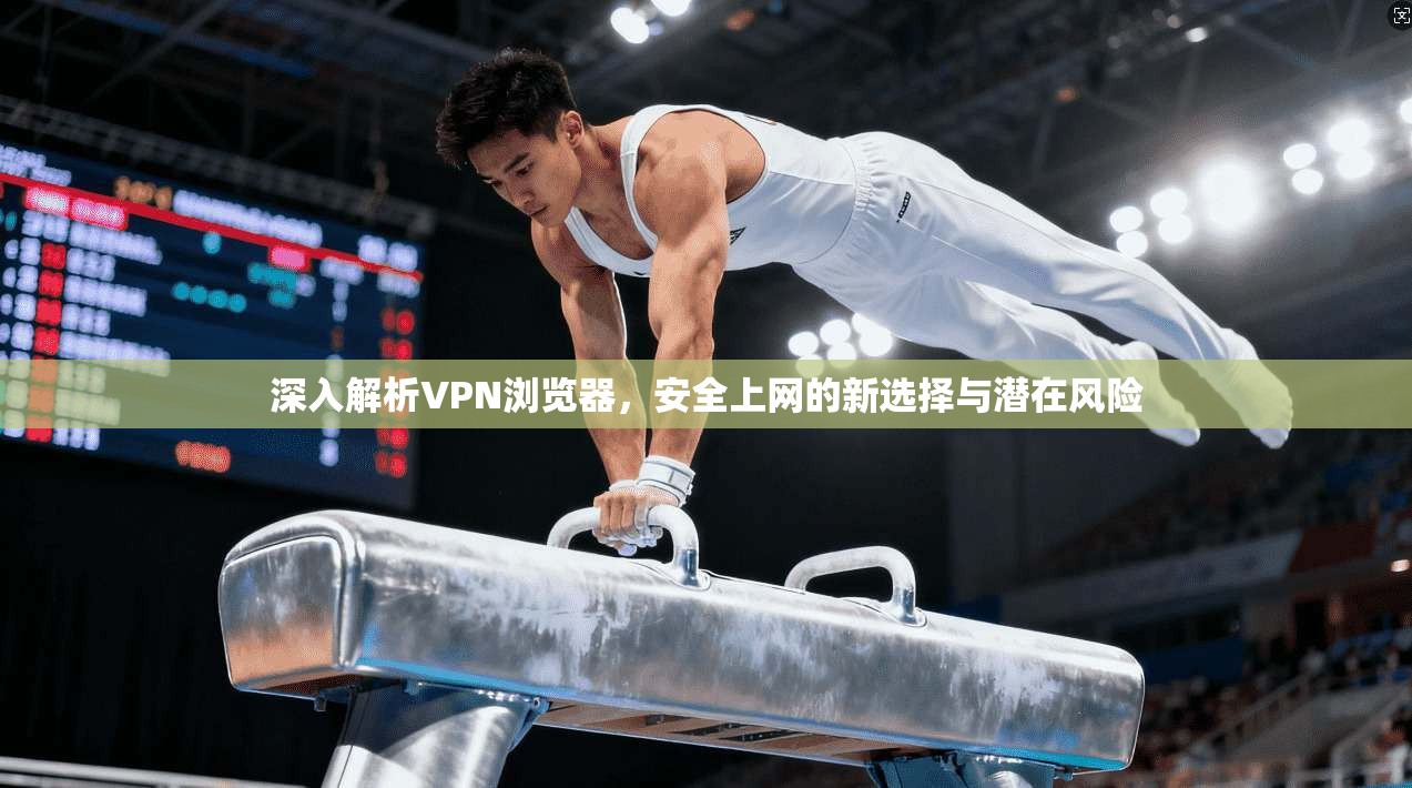 深入解析VPN浏览器，安全上网的新选择与潜在风险