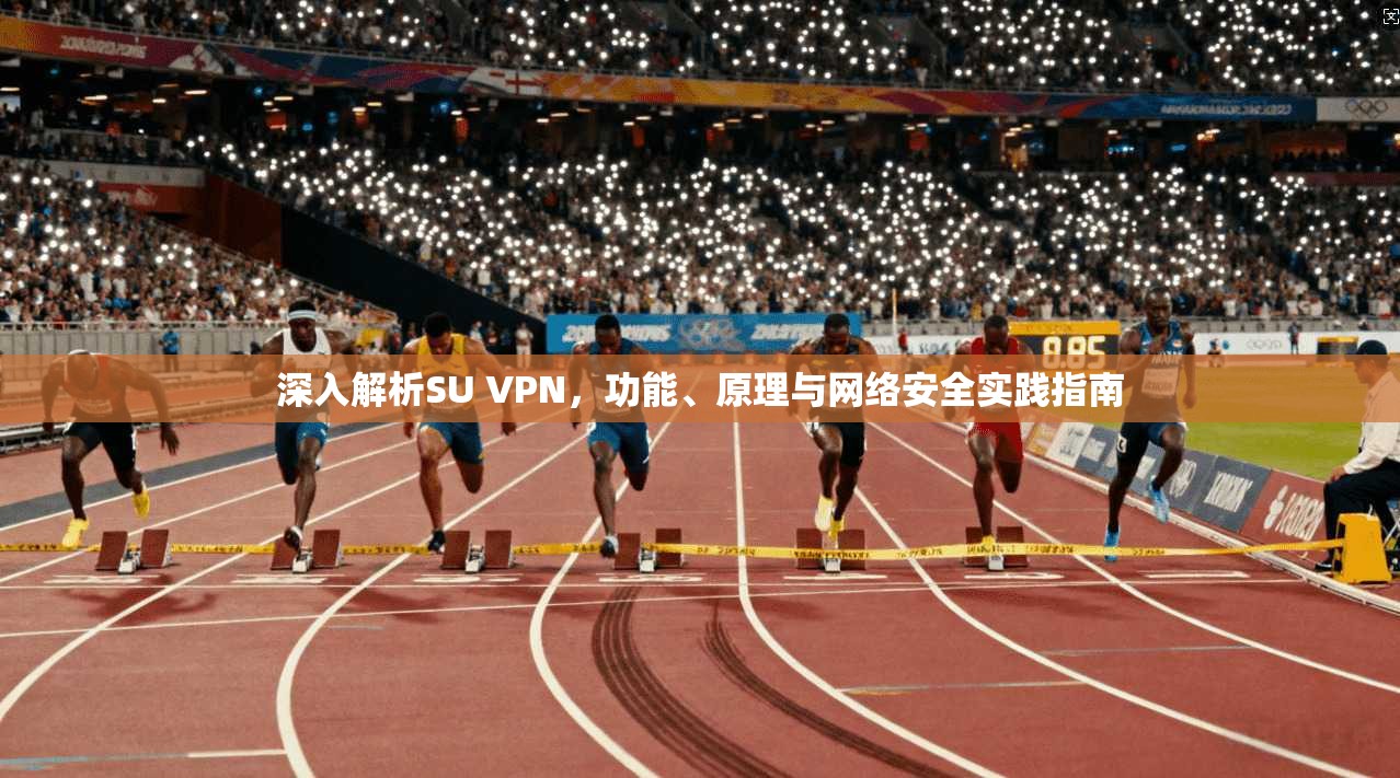深入解析SU VPN，功能、原理与网络安全实践指南