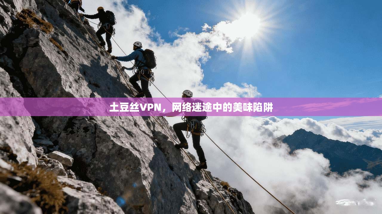 土豆丝VPN，网络迷途中的美味陷阱