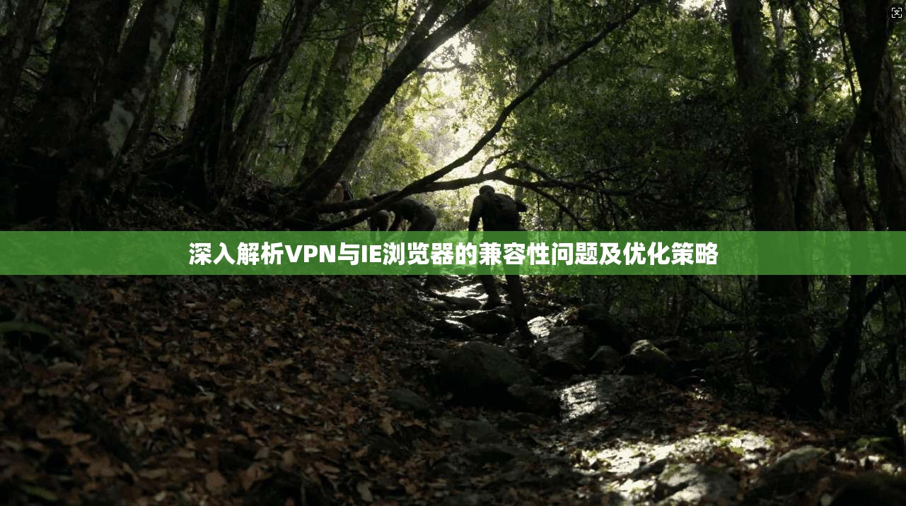 深入解析VPN与IE浏览器的兼容性问题及优化策略