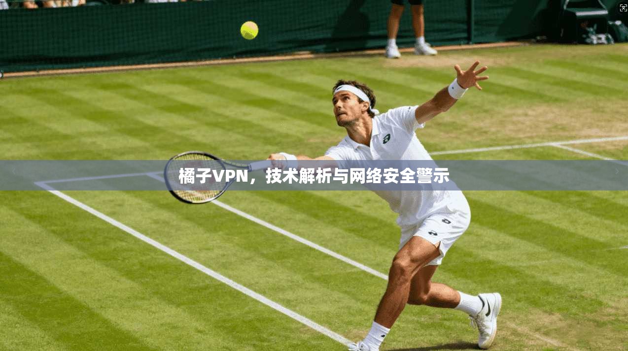 橘子VPN,技术解析与网络安全警示