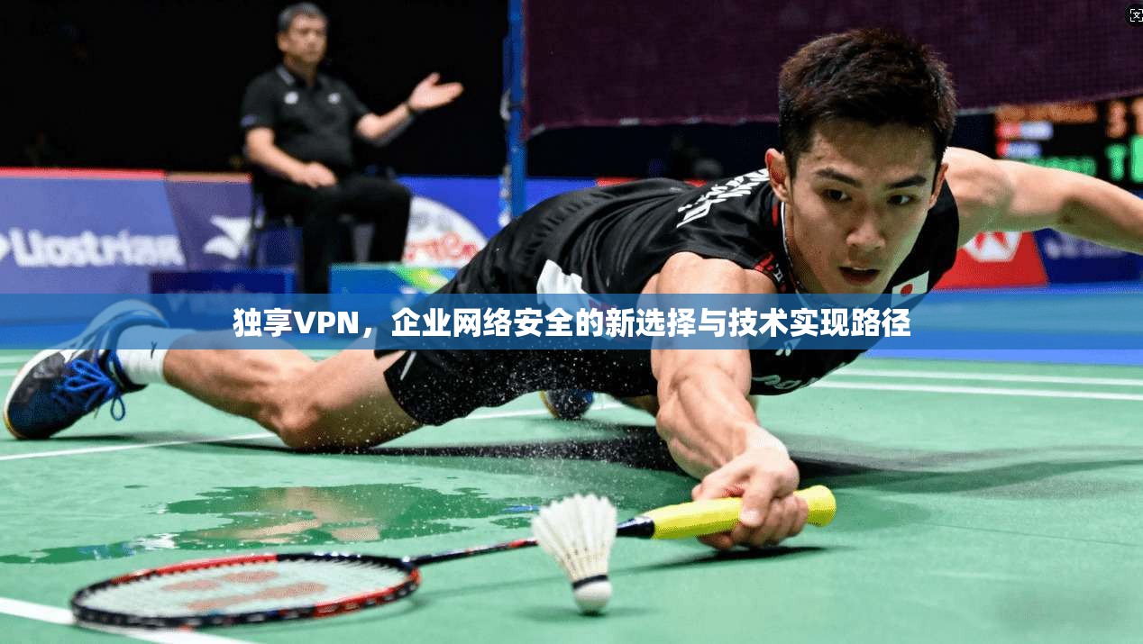 独享VPN,企业网络安全的新选择与技术实现路径