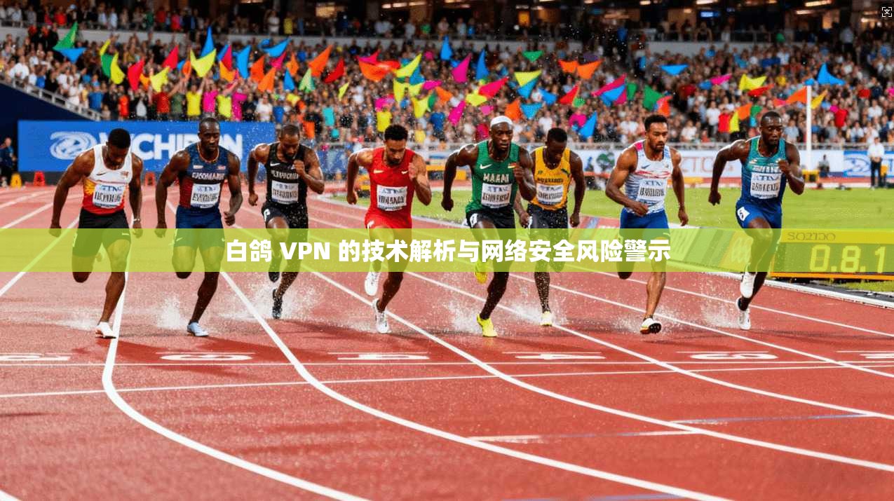 白鸽 VPN 的技术解析与网络安全风险警示