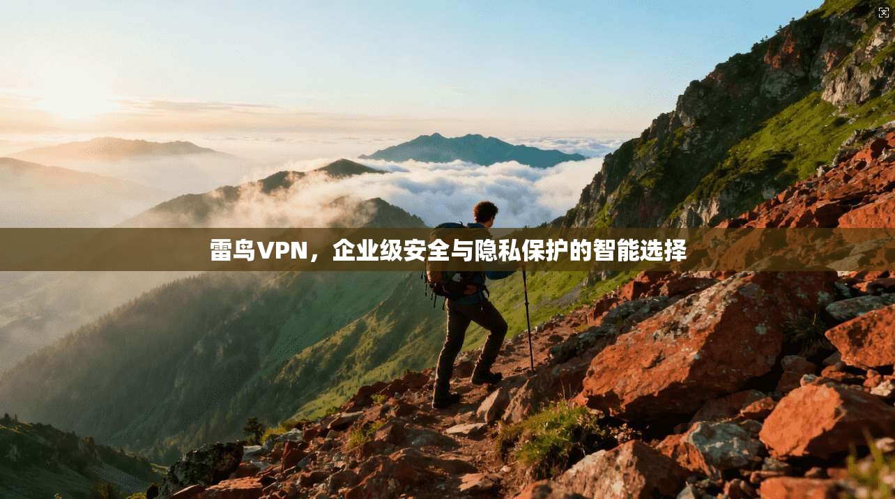 雷鸟VPN，企业级安全与隐私保护的智能选择