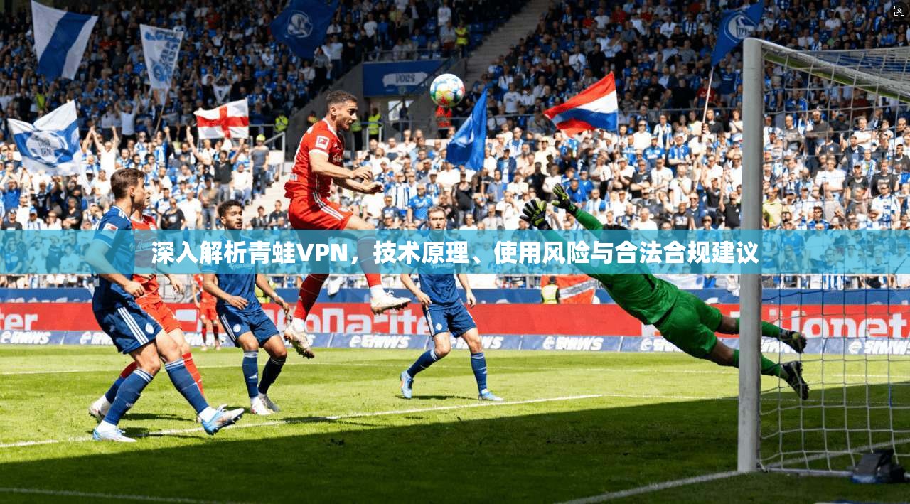 深入解析青蛙VPN,技术原理、使用风险与合法合规建议