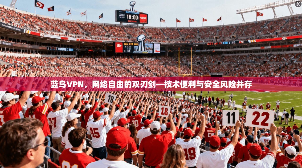 蓝鸟VPN,网络自由的双刃剑—技术便利与安全风险并存