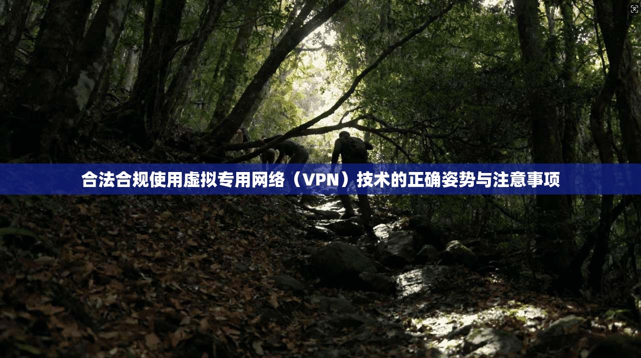 合法合规使用虚拟专用网络（VPN）技术的正确姿势与注意事项