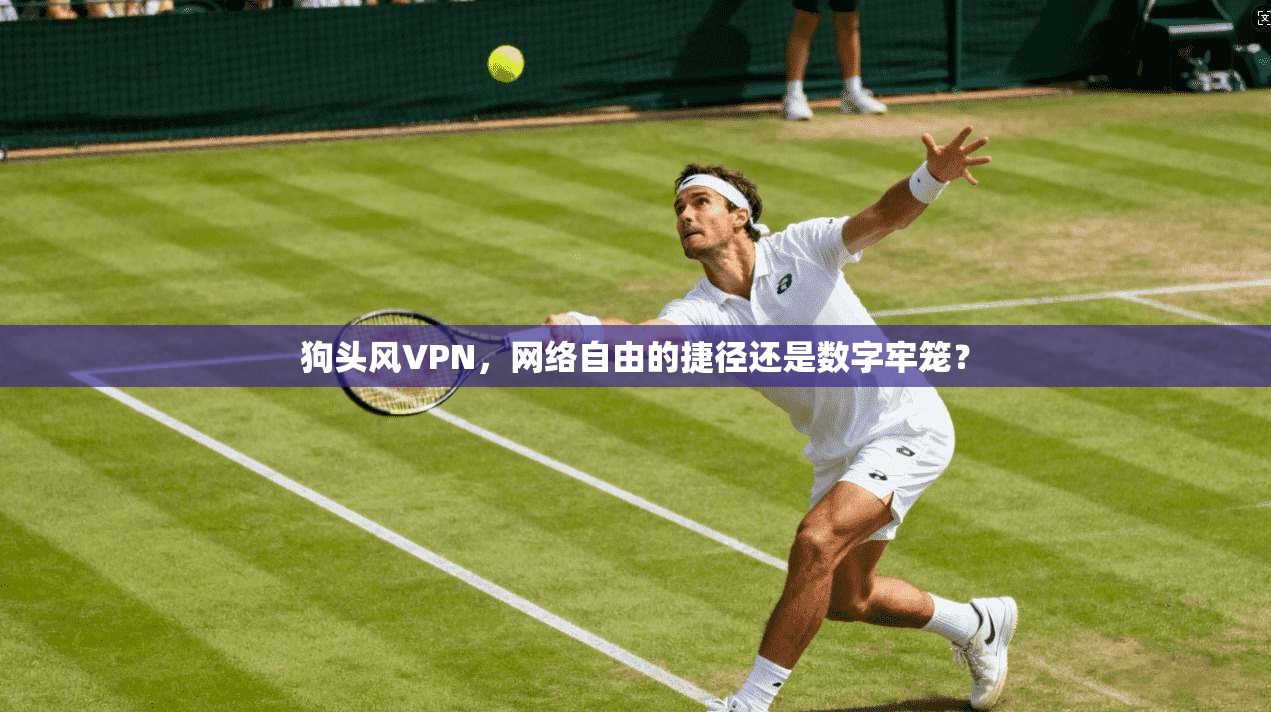狗头风VPN,网络自由的捷径还是数字牢笼?