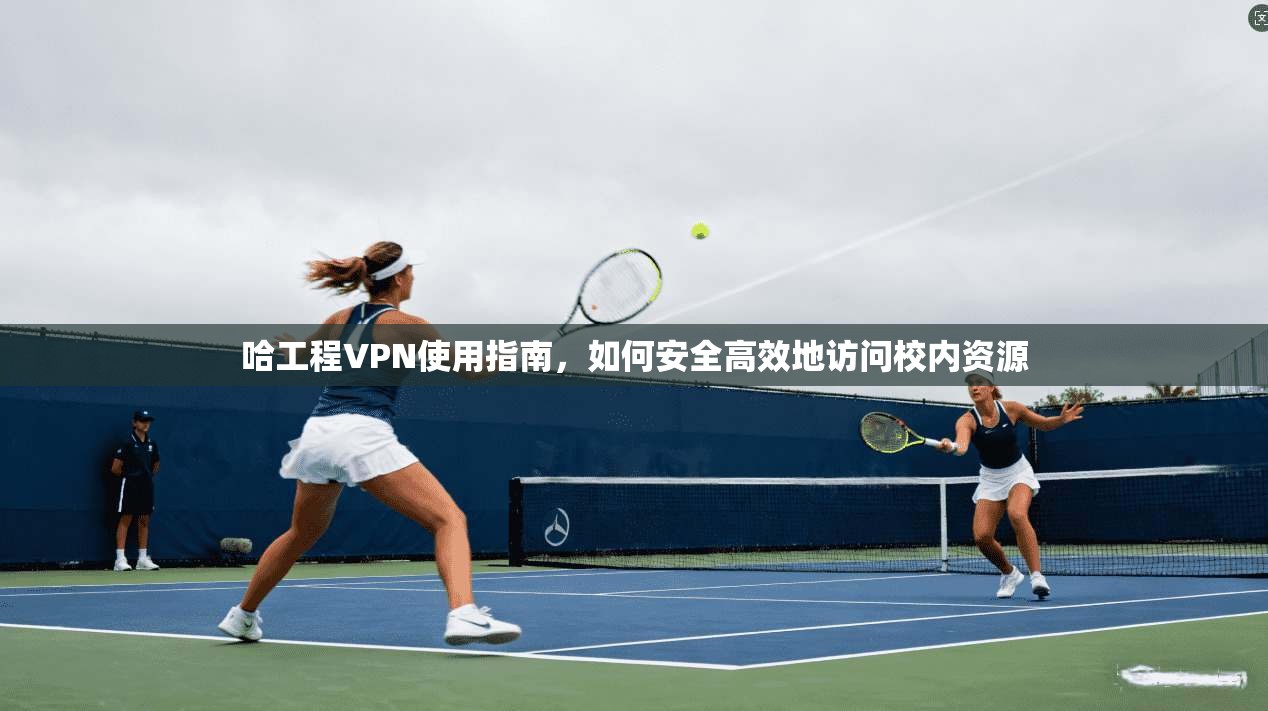 哈工程VPN使用指南，如何安全高效地访问校内资源