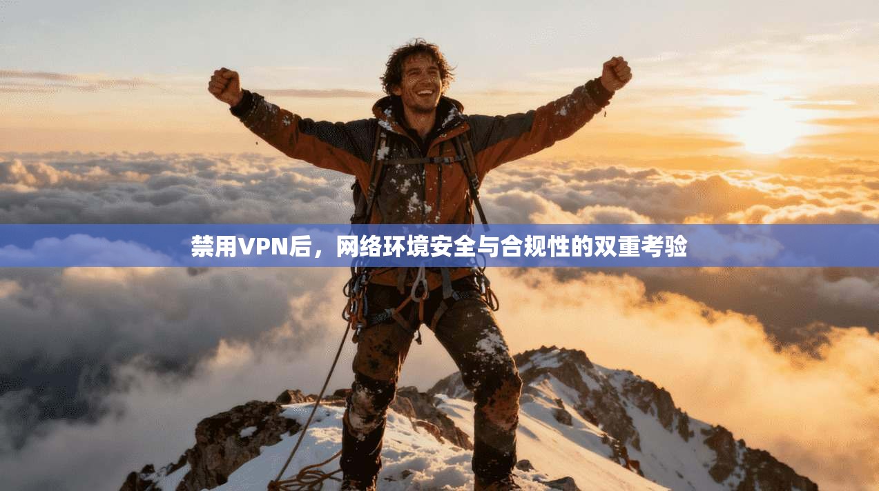 禁用VPN后,网络环境安全与合规性的双重考验