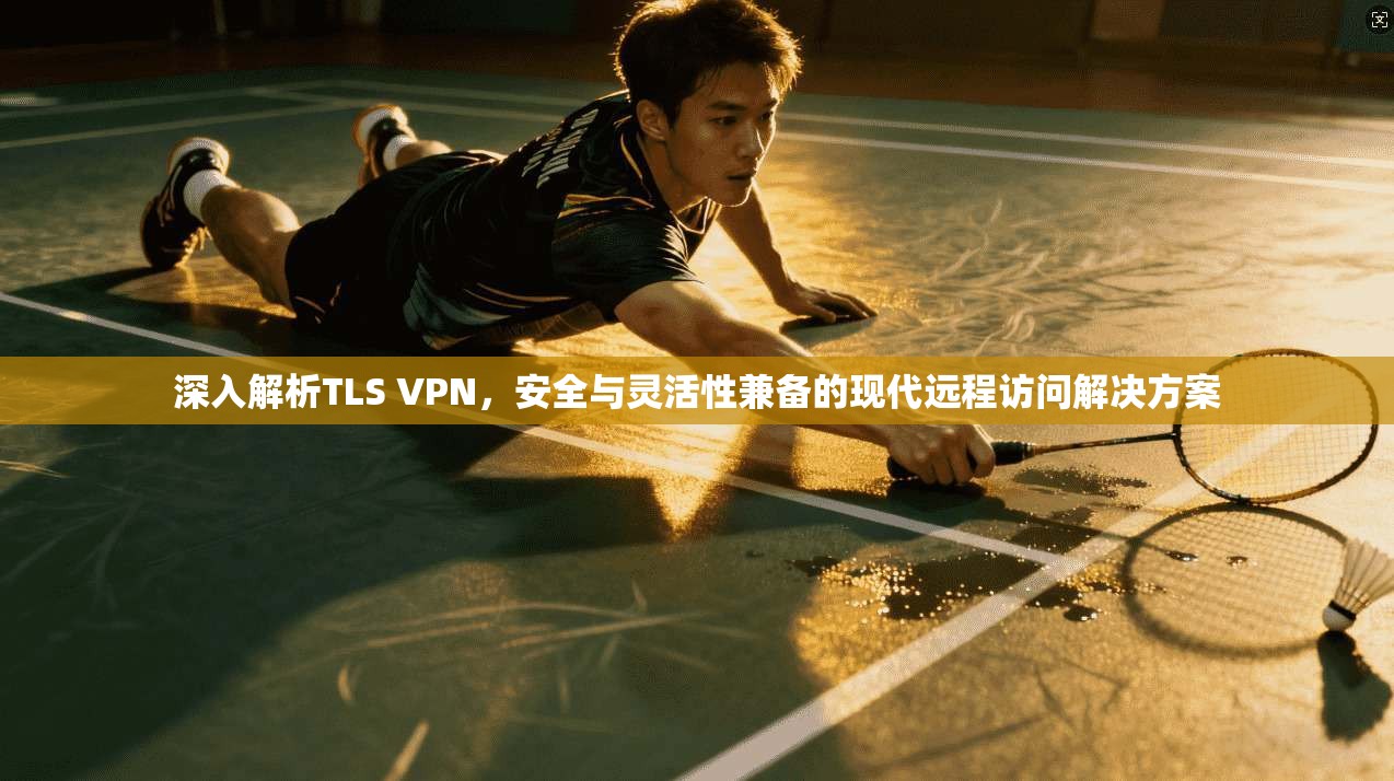 深入解析TLS VPN,安全与灵活性兼备的现代远程访问解决方案