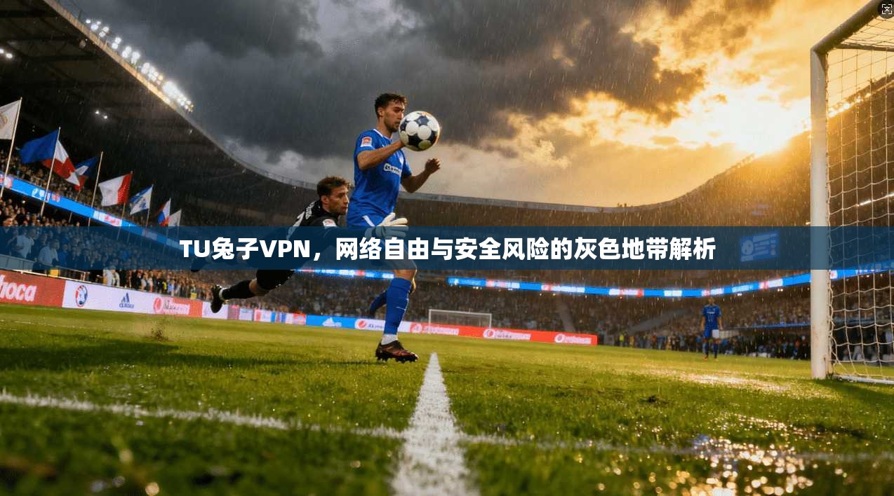 TU兔子VPN,网络自由与安全风险的灰色地带解析