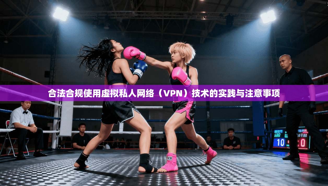 合法合规使用虚拟私人网络（VPN）技术的实践与注意事项