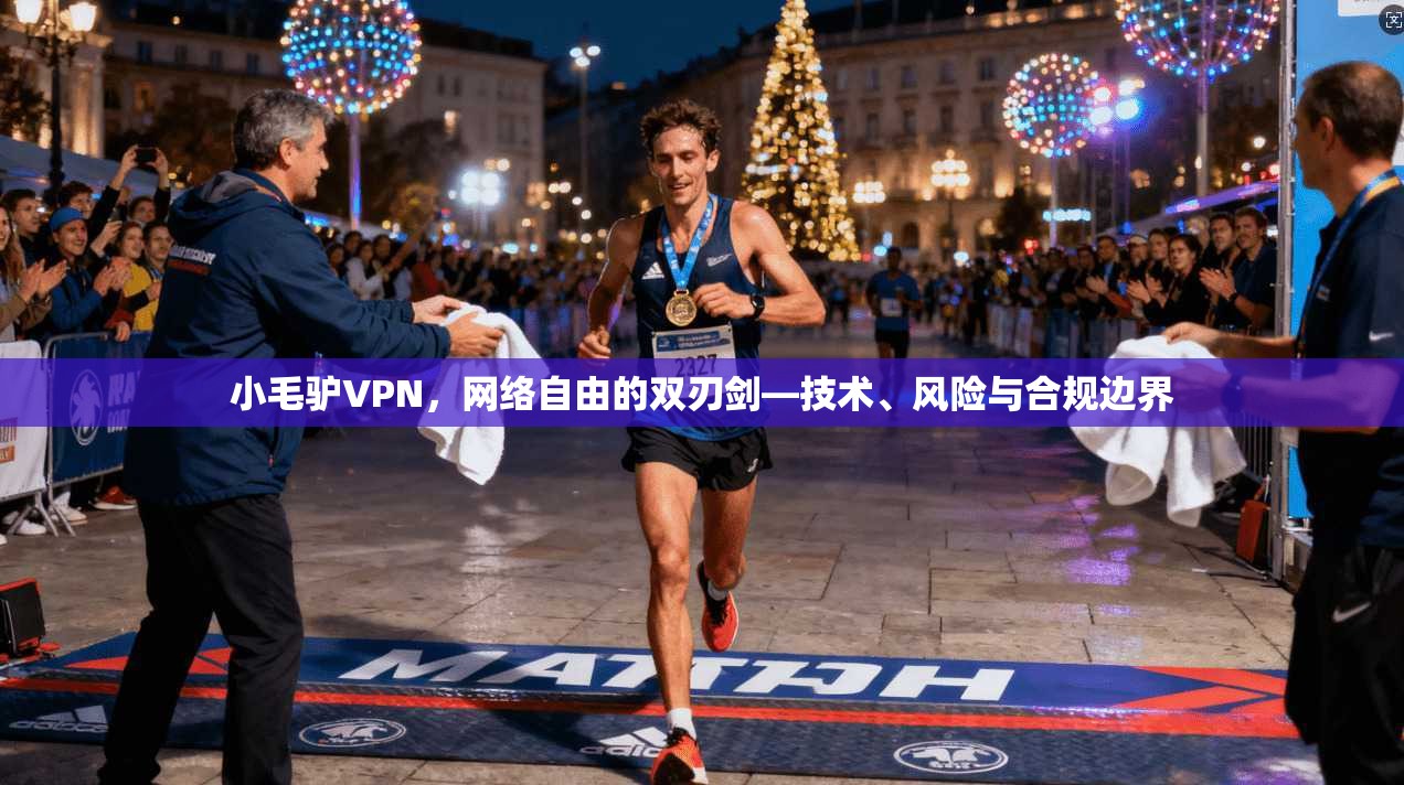 小毛驴VPN，网络自由的双刃剑—技术、风险与合规边界