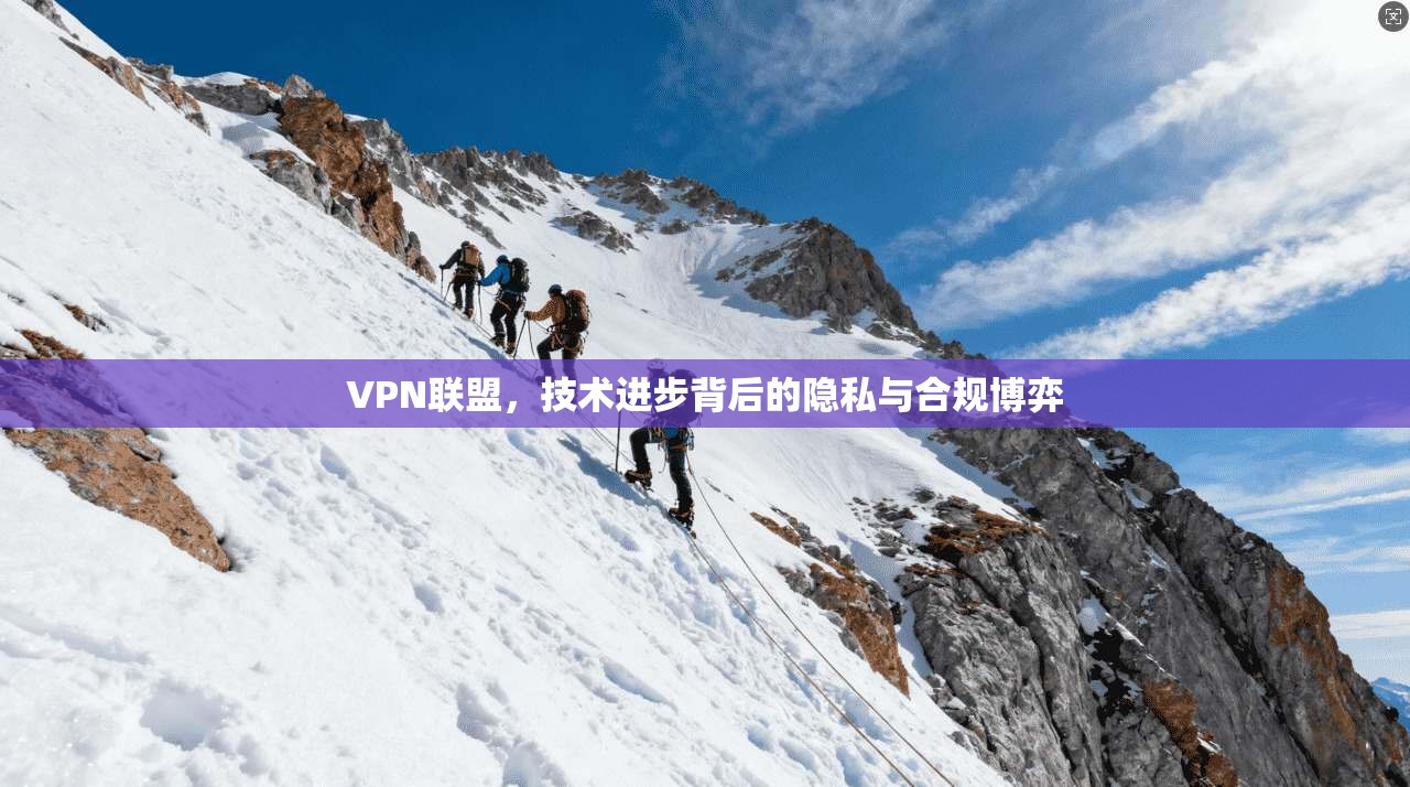 VPN联盟，技术进步背后的隐私与合规博弈