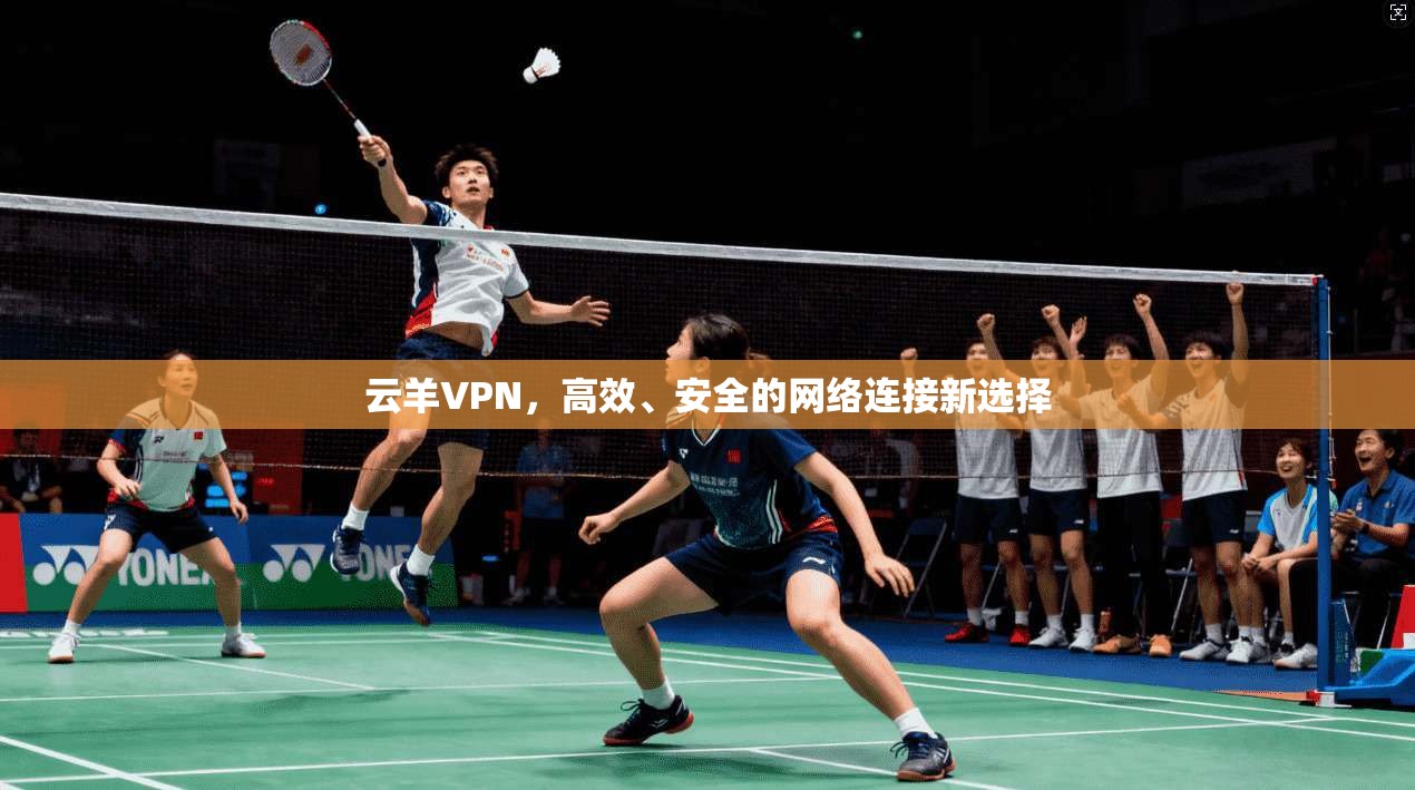 云羊VPN,高效、安全的网络连接新选择 云羊VPN,高效、安全的网络连接新选择