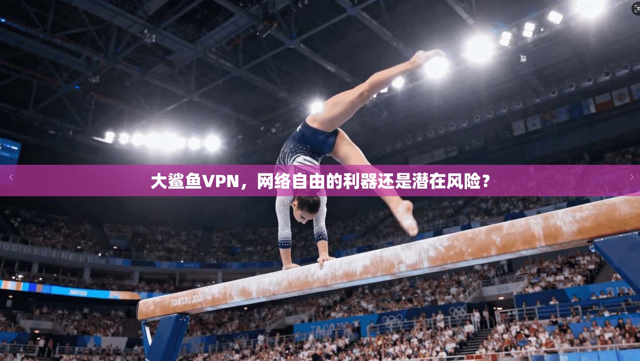 大鲨鱼VPN，网络自由的利器还是潜在风险？