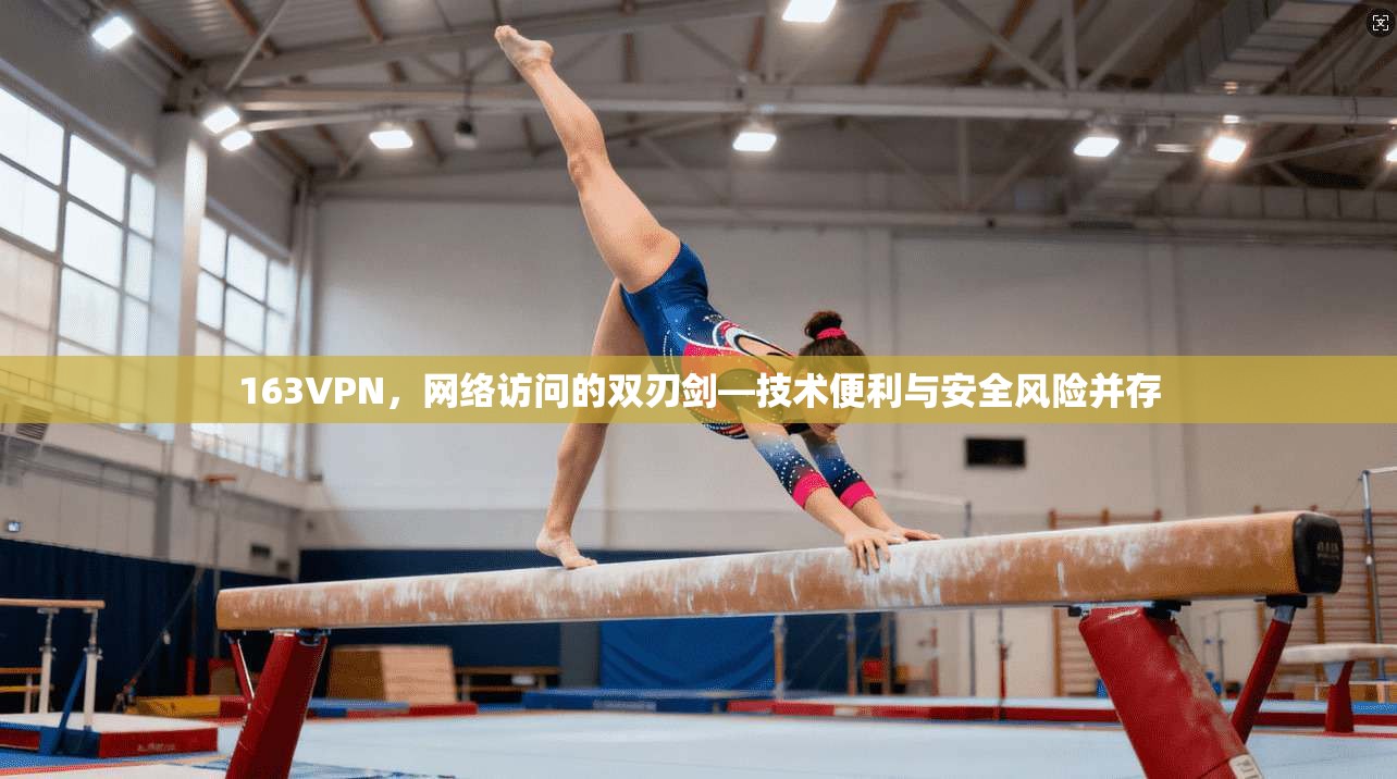 163VPN，网络访问的双刃剑—技术便利与安全风险并存