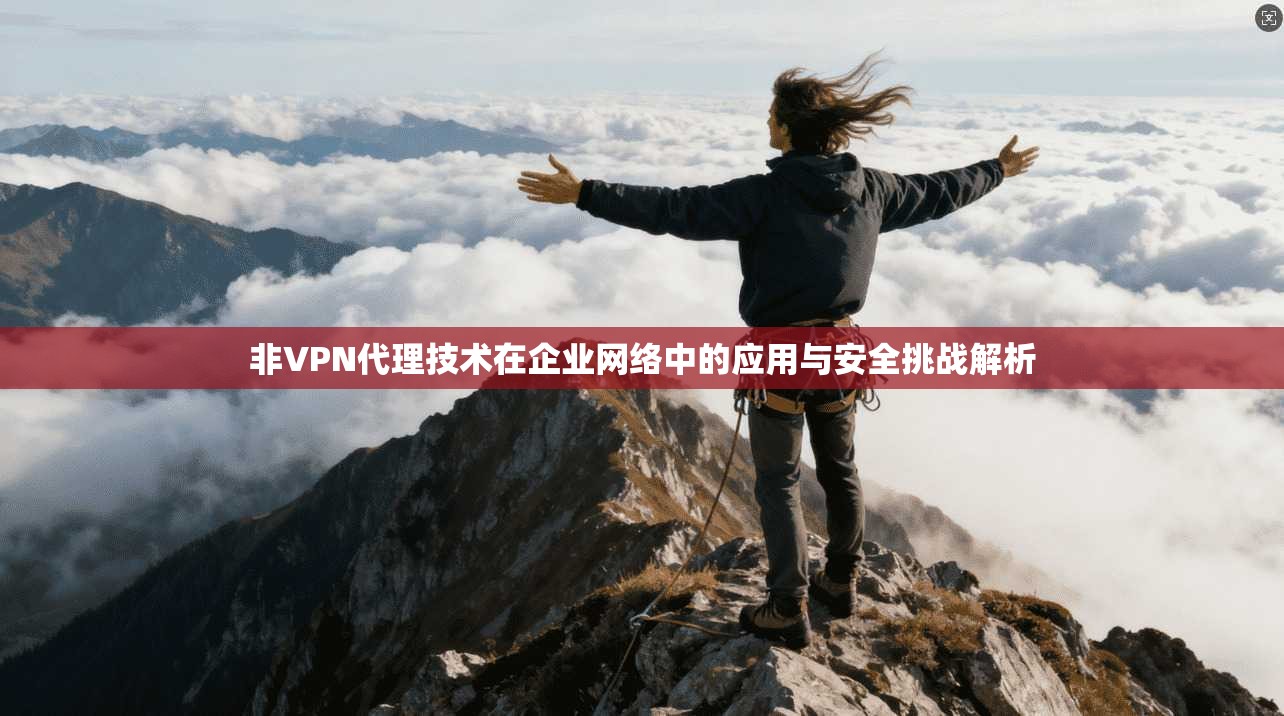 非VPN代理技术在企业网络中的应用与安全挑战解析 非VPN代理技术在企业网络中的应用与安全挑战解析