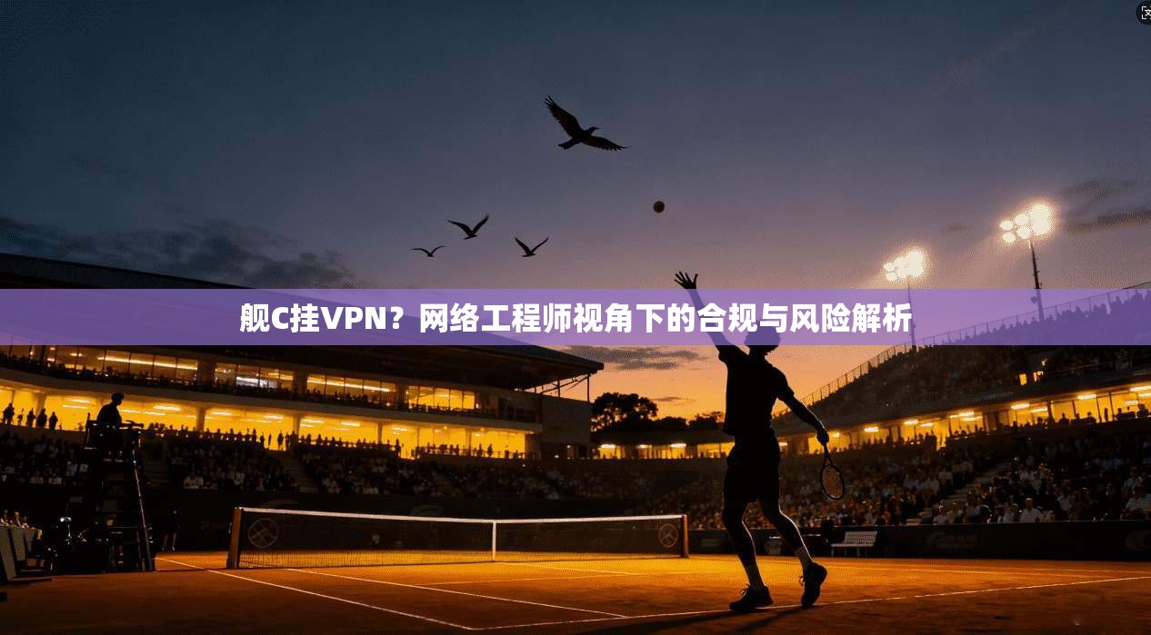 舰C挂VPN?网络工程师视角下的合规与风险解析 舰C挂VPN?网络工程师视角下的合规与风险解析