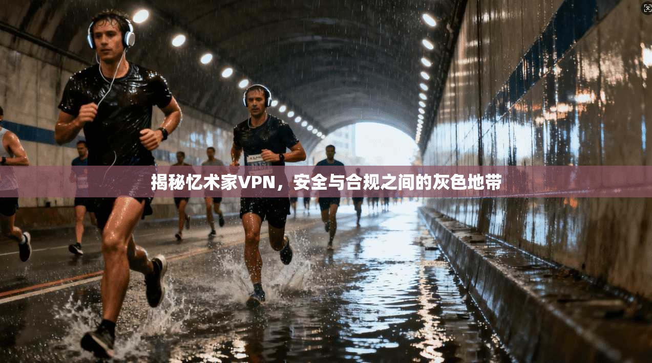 揭秘忆术家VPN，安全与合规之间的灰色地带