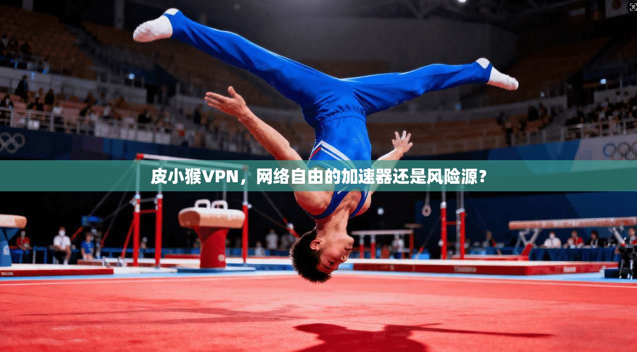 皮小猴VPN，网络自由的加速器还是风险源？