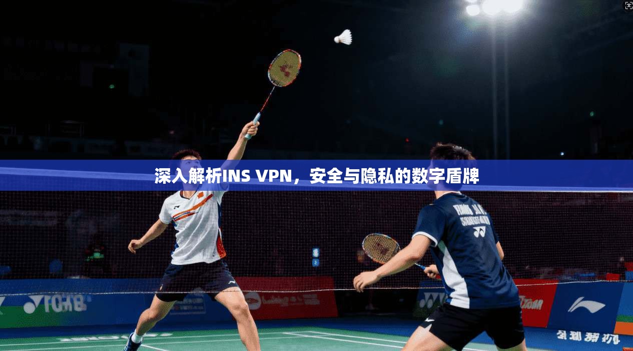 深入解析INS VPN，安全与隐私的数字盾牌
