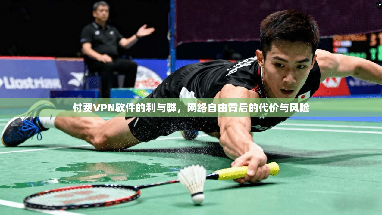 付费VPN软件的利与弊，网络自由背后的代价与风险