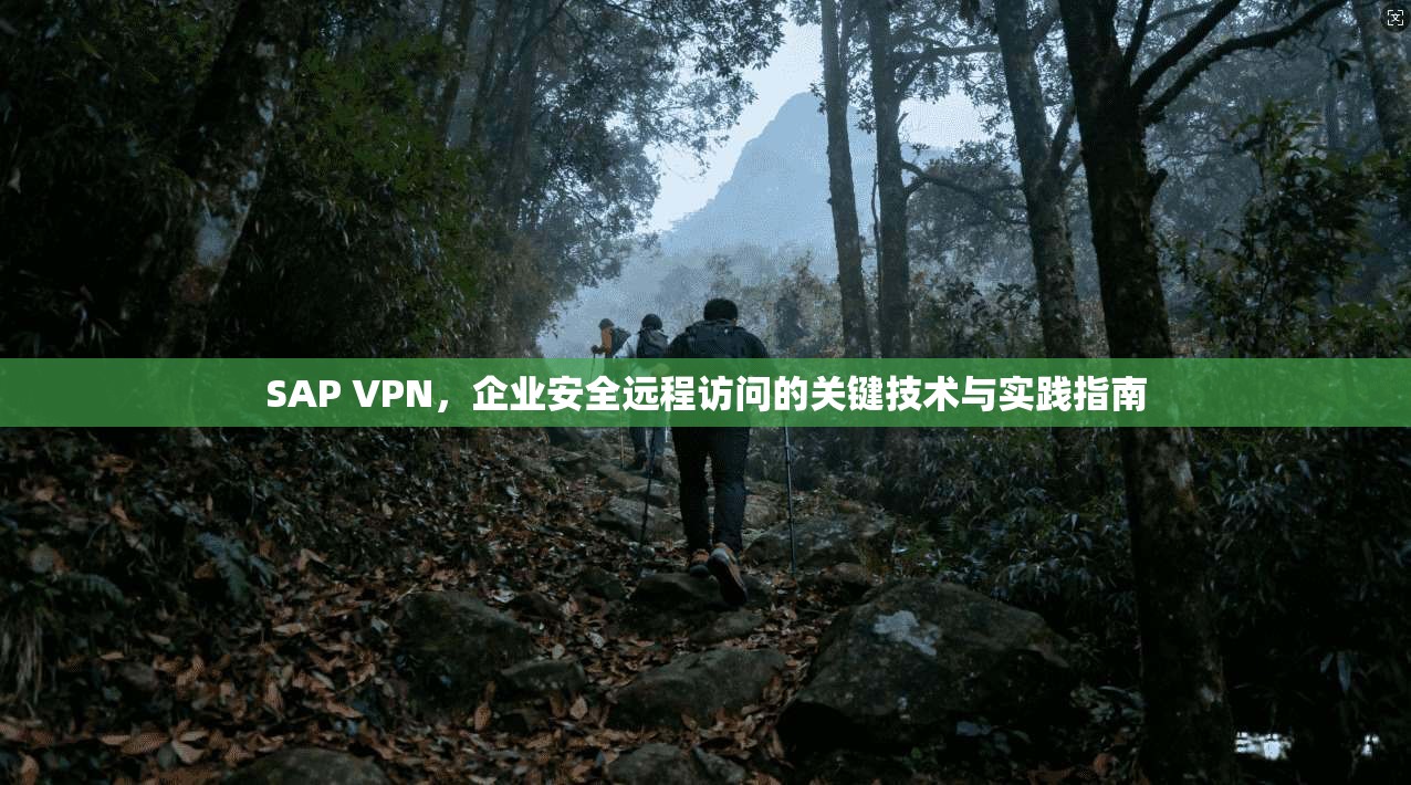 SAP VPN，企业安全远程访问的关键技术与实践指南