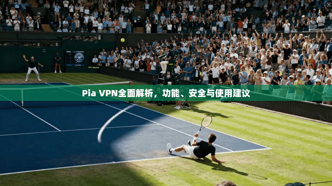 Pia VPN全面解析，功能、安全与使用建议