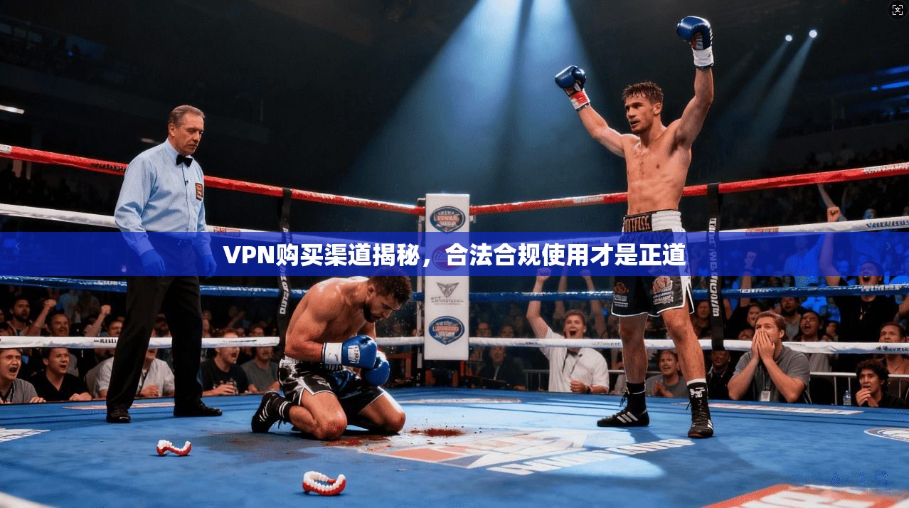 VPN购买渠道揭秘，合法合规使用才是正道