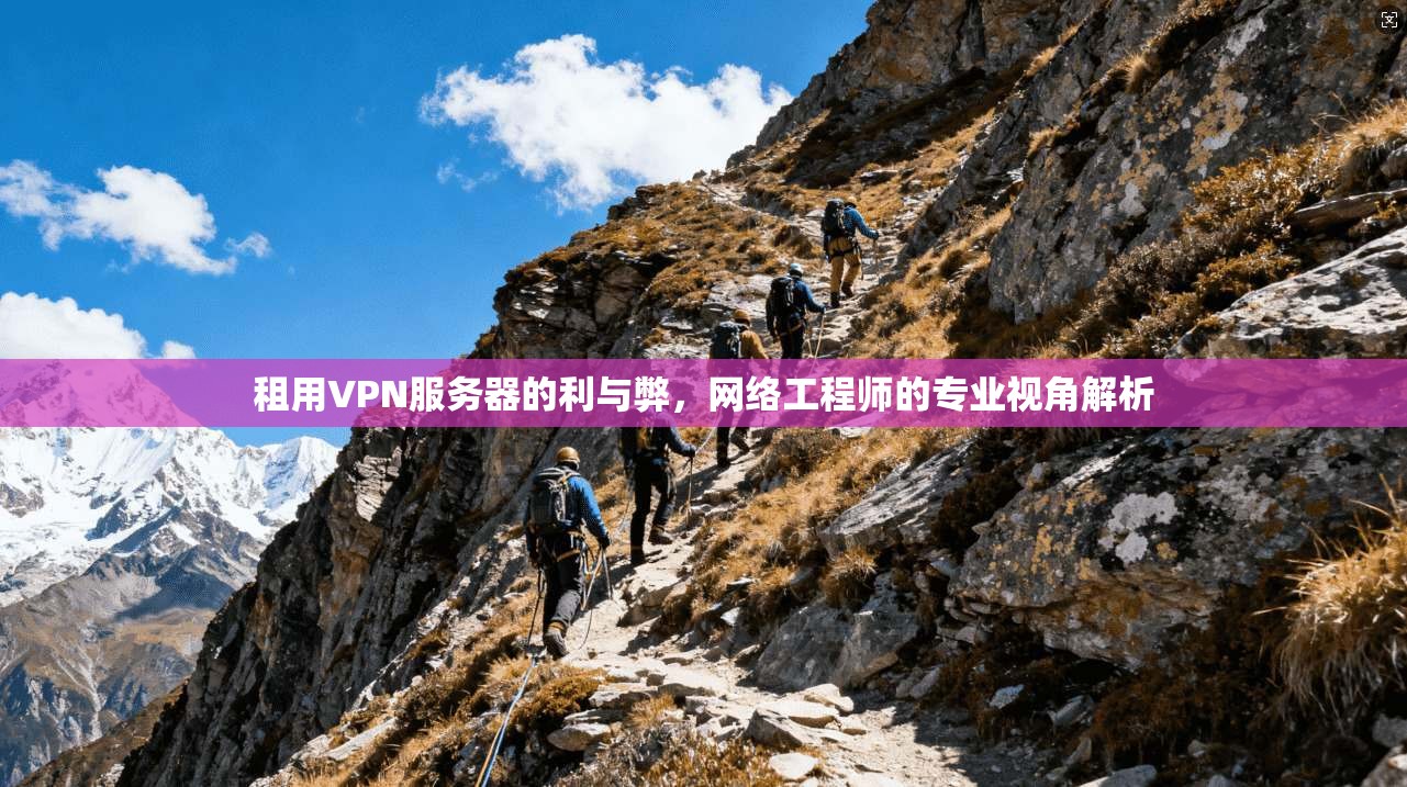 租用VPN服务器的利与弊，网络工程师的专业视角解析