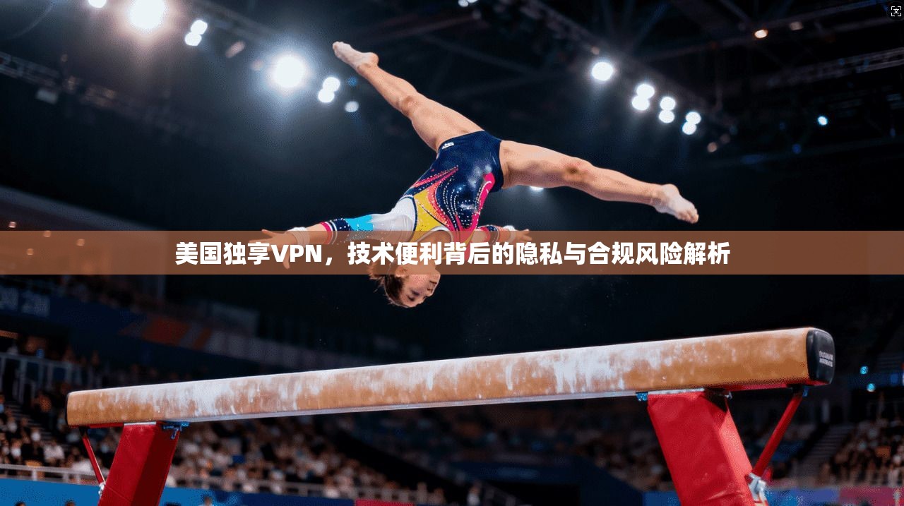 美国独享VPN，技术便利背后的隐私与合规风险解析