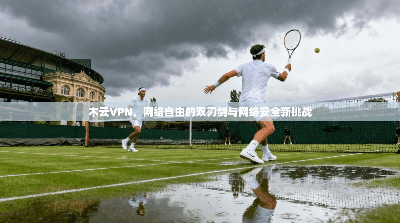 木云VPN，网络自由的双刃剑与网络安全新挑战