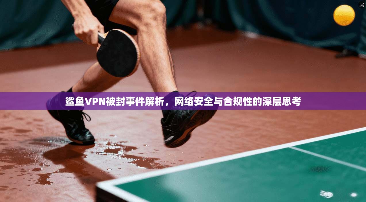 鲨鱼VPN被封事件解析，网络安全与合规性的深层思考