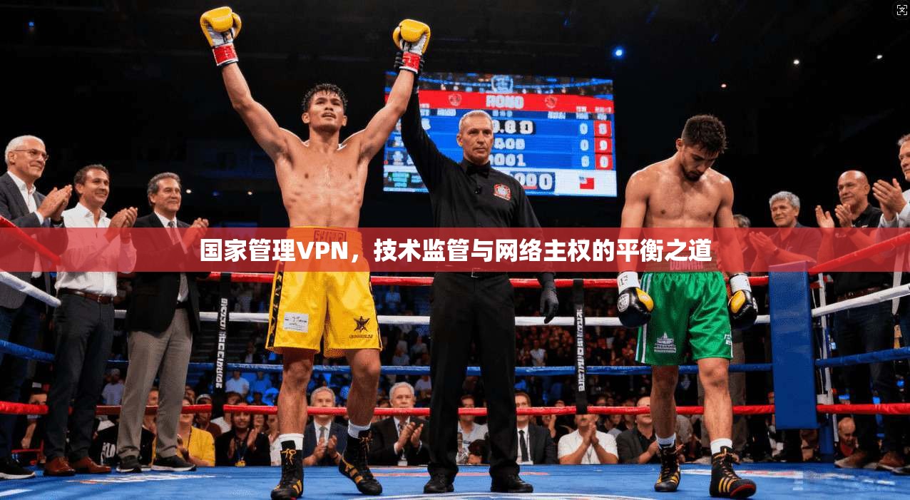 国家管理VPN,技术监管与网络主权的平衡之道 国家管理VPN,技术监管与网络主权的平衡之道