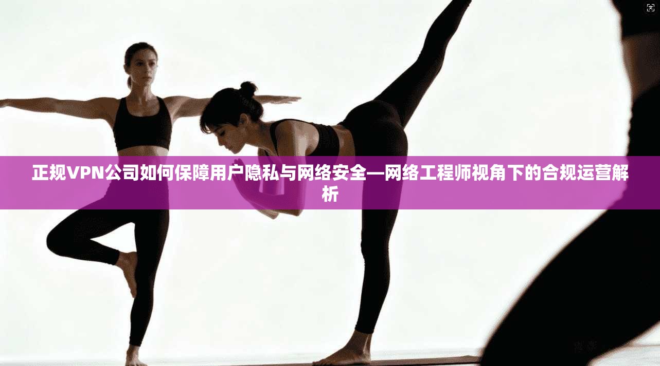 正规VPN公司如何保障用户隐私与网络安全—网络工程师视角下的合规运营解析