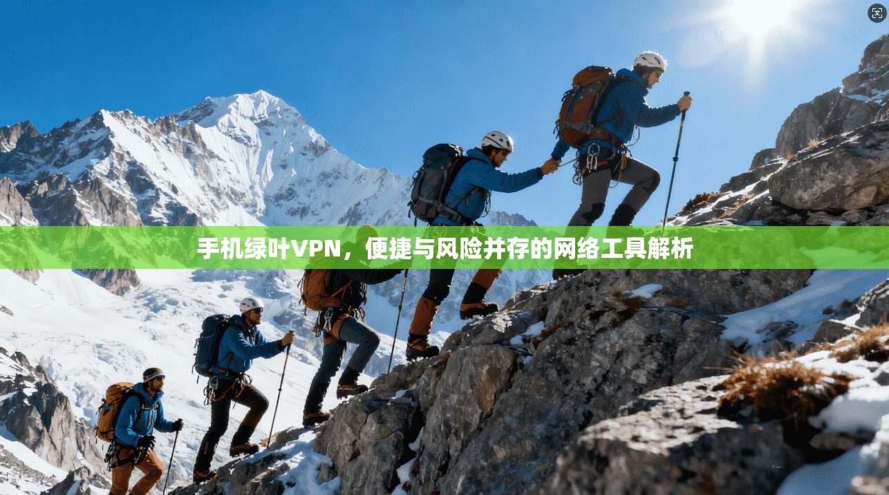 手机绿叶VPN，便捷与风险并存的网络工具解析