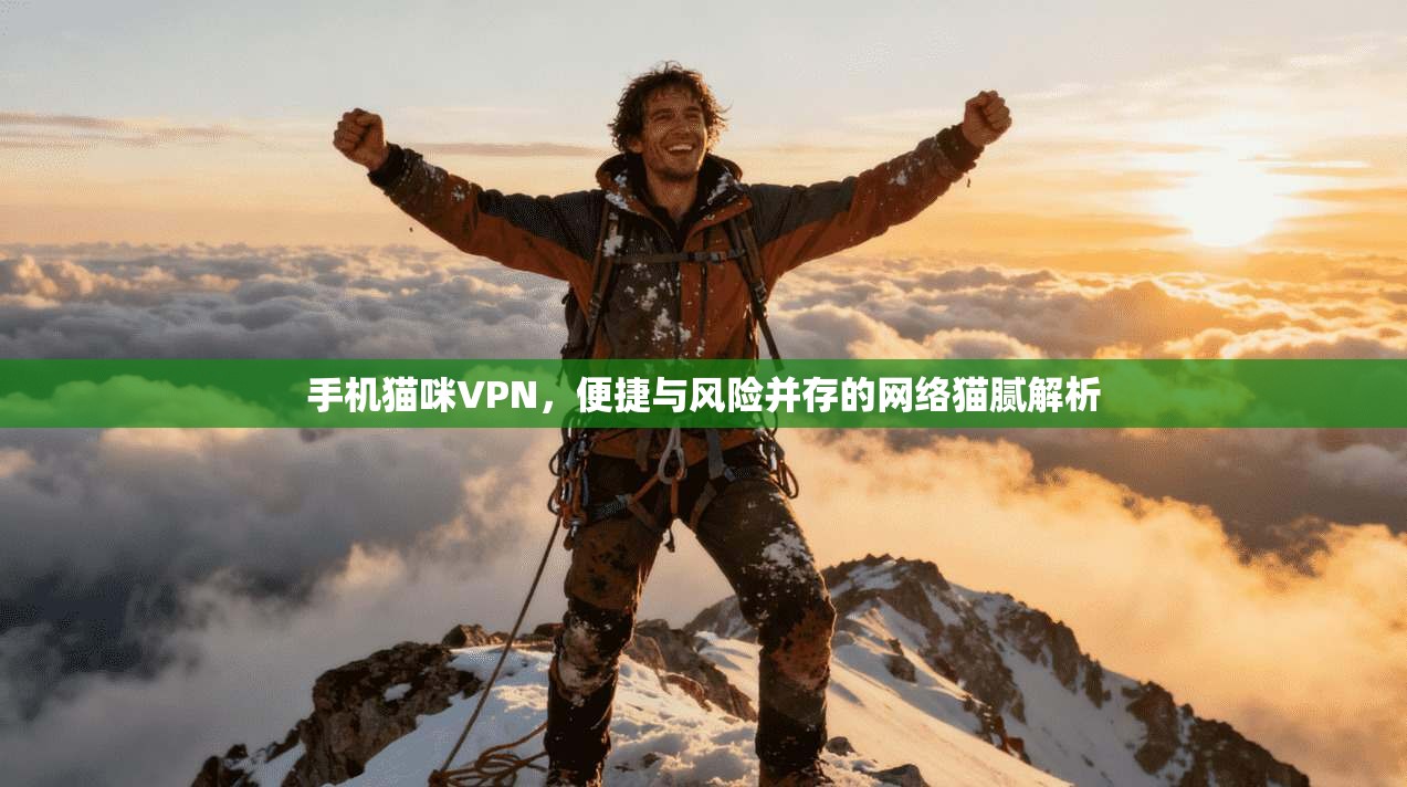 手机猫咪VPN，便捷与风险并存的网络猫腻解析