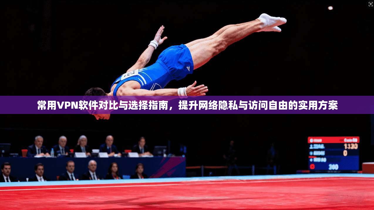 常用VPN软件对比与选择指南，提升网络隐私与访问自由的实用方案