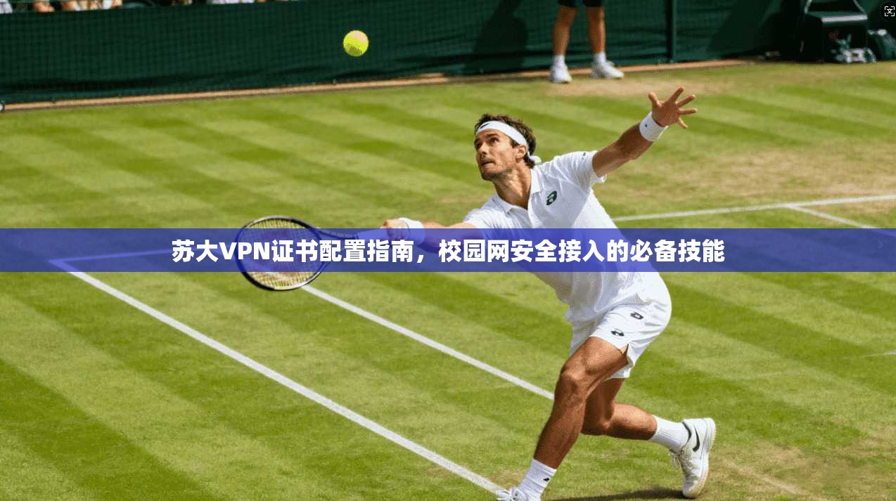 苏大VPN证书配置指南，校园网安全接入的必备技能