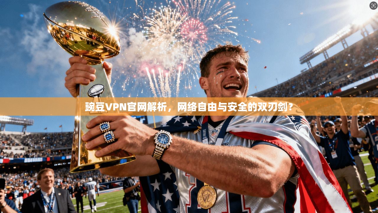豌豆VPN官网解析，网络自由与安全的双刃剑？