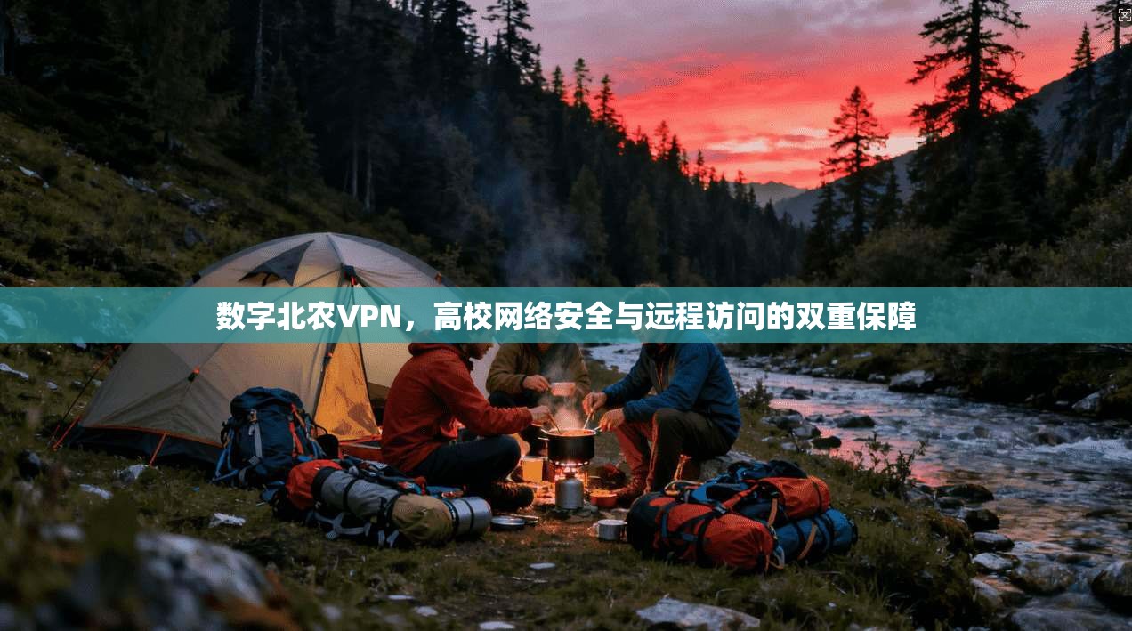 数字北农VPN，高校网络安全与远程访问的双重保障