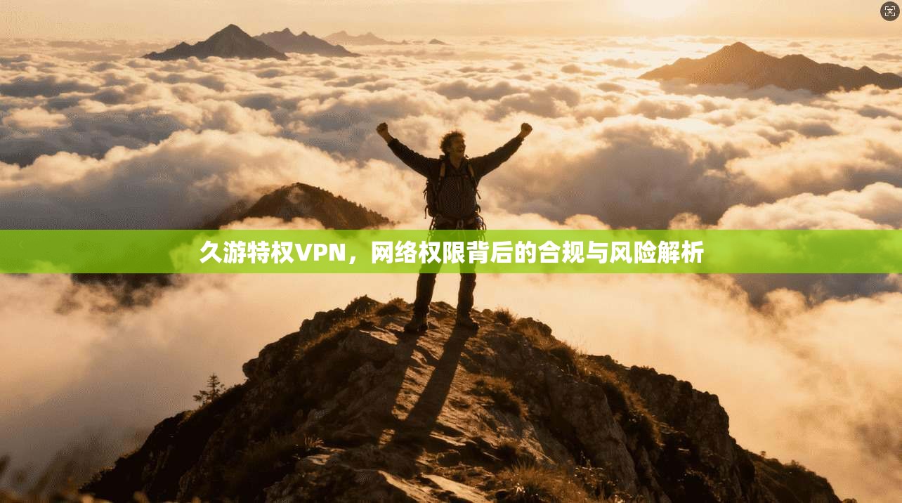 久游特权VPN，网络权限背后的合规与风险解析